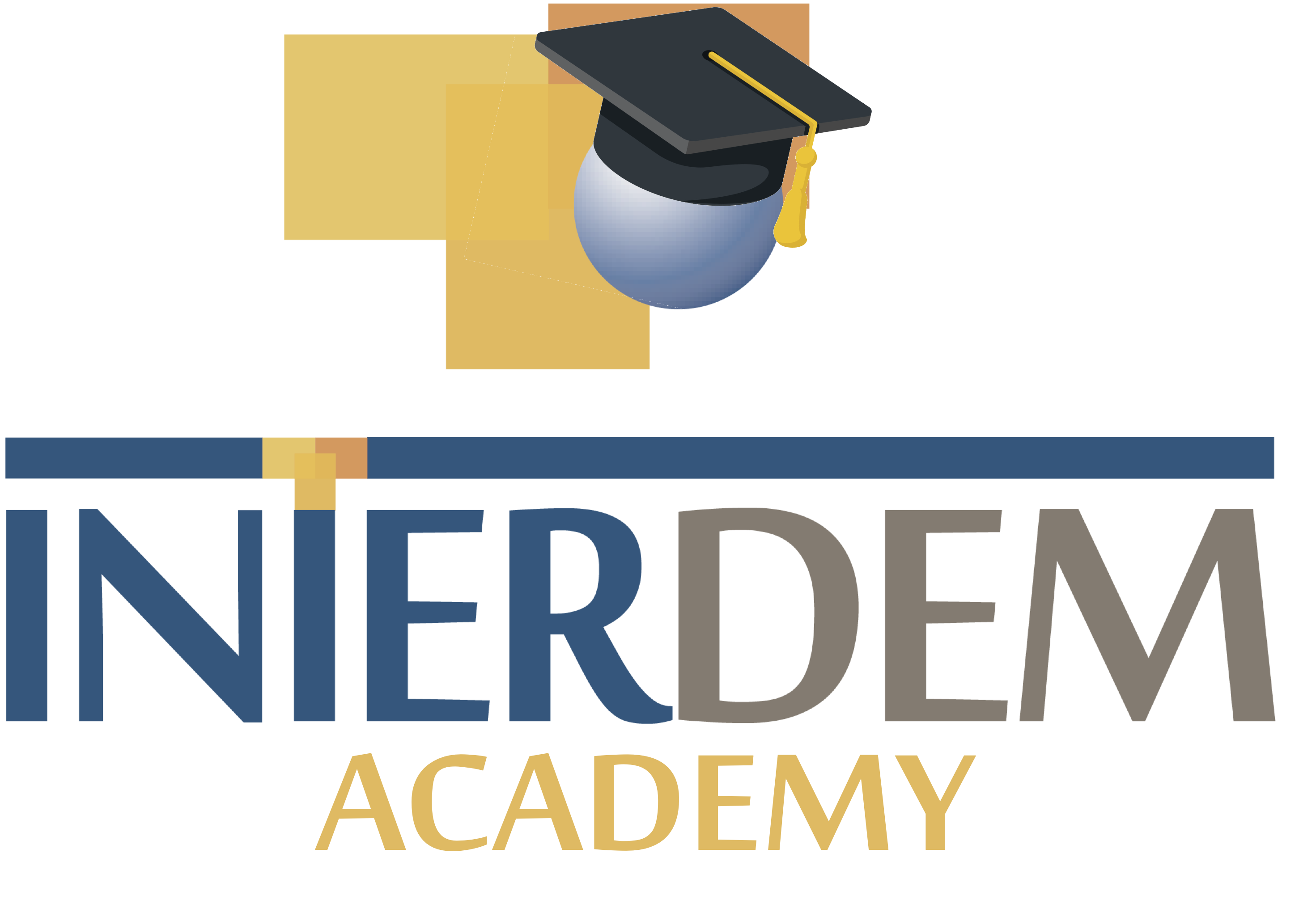 Strengthening Dementia Prevention Research: SPIN-D and INTERDEM Academy&nbsp;Collaboration