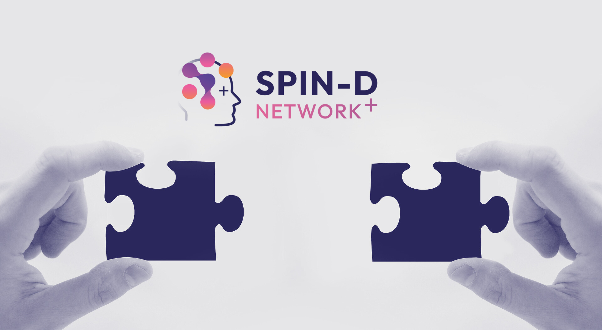 One Year On: Reflections from the SPIN-D Co-production and Involvement&nbsp;Team